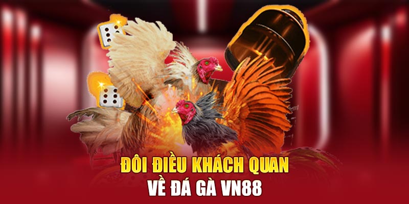 Đôi điều khách quan về đá gà VN88