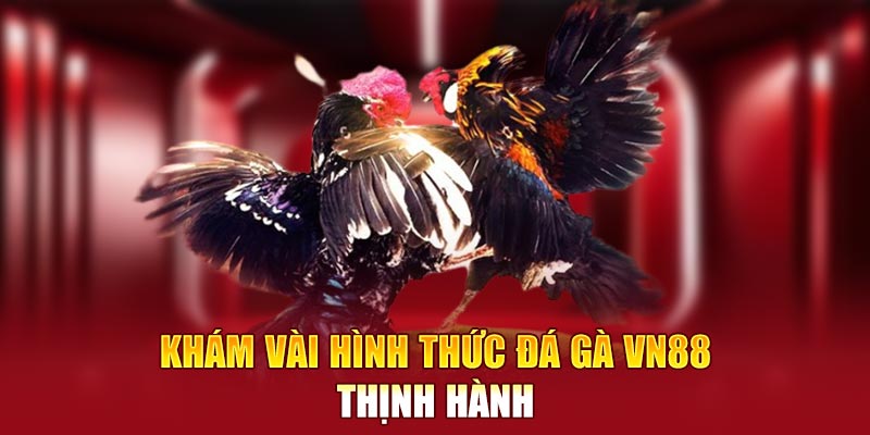 Khám vài hình thức đá gà VN88 thịnh hành