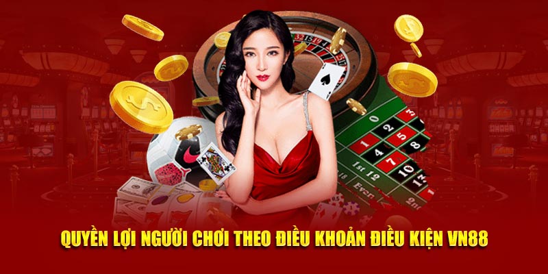 Quyền lợi người chơi theo điều khoản điều kiện VN88