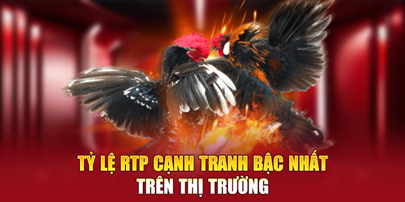 Tỷ lệ RTP cao nhất trong lĩnh vực giải trí trực tuyến